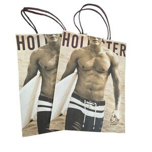 Hollister Paper Shopping Bag Vintage Y2K Surfing Male Model Bruce Weber lot of 2
